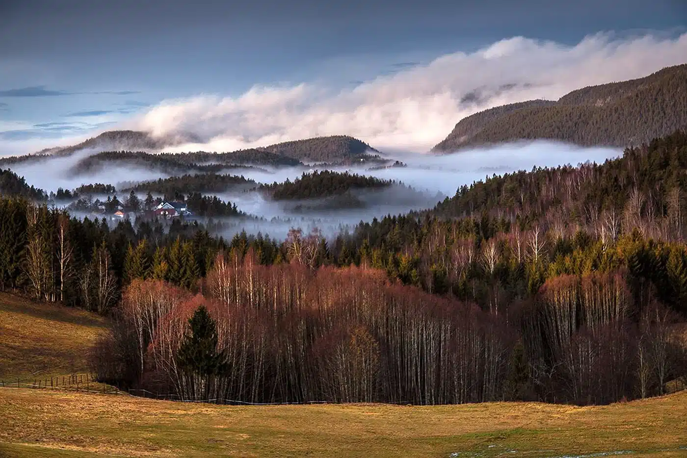 012324Afoss hoest 1400