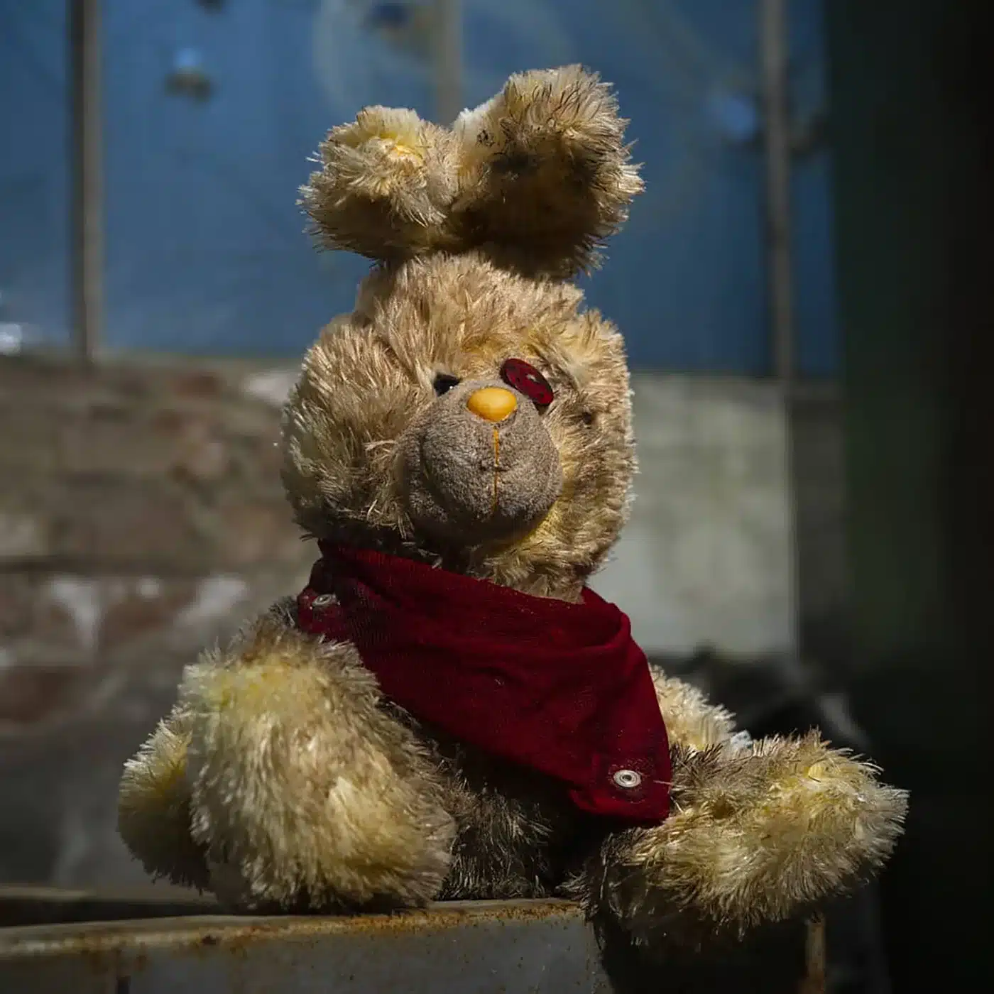 012324Film prop kanin 1400