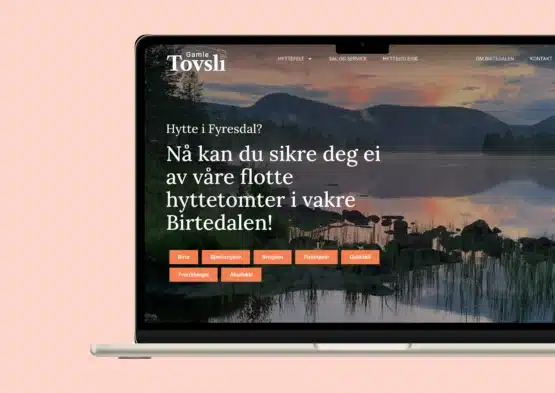 Forside 1 gamle tovsli