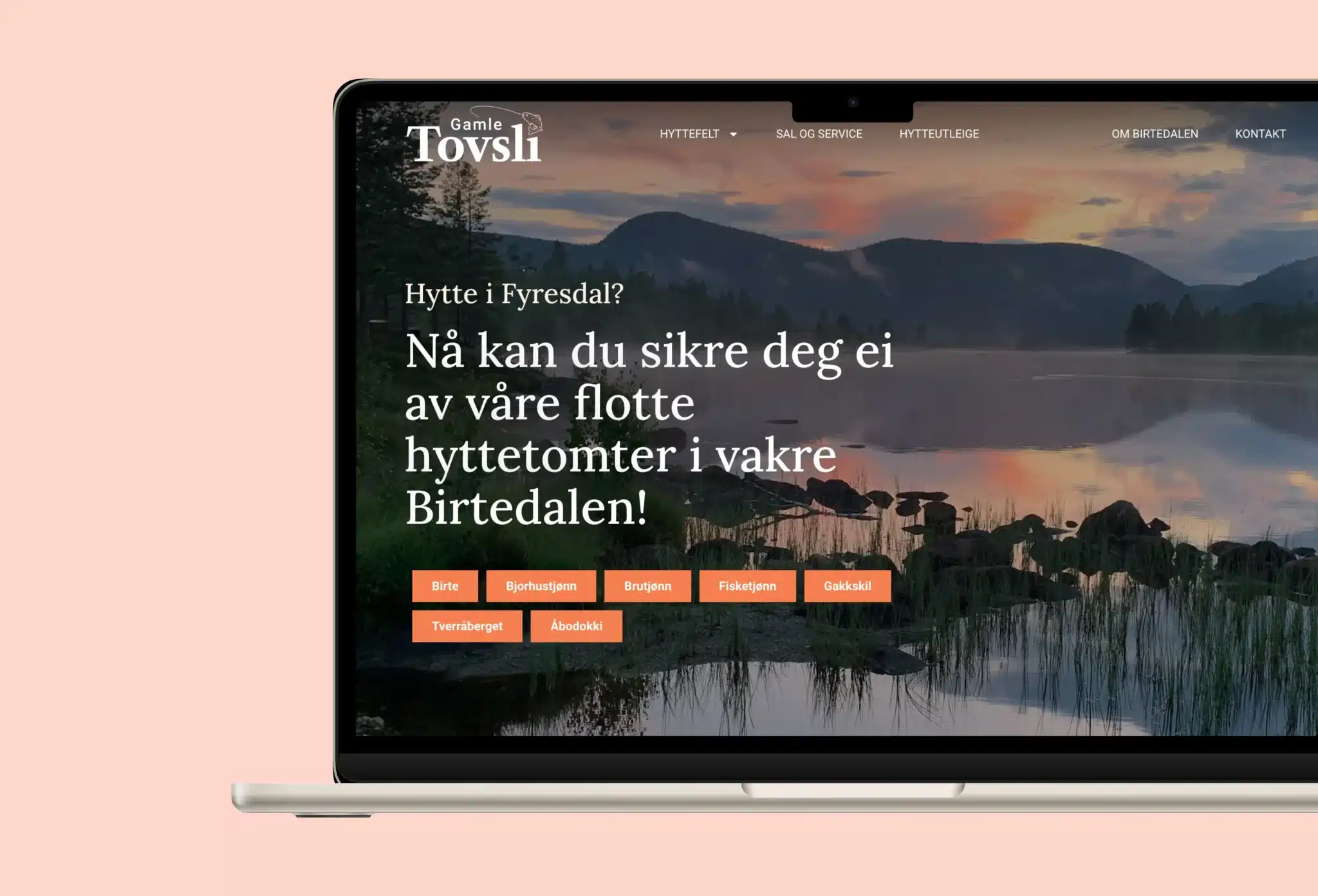 Forside 1 gamle tovsli