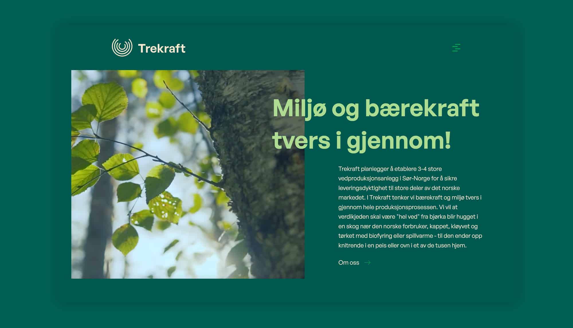 Webdesign Desktop Trekraft